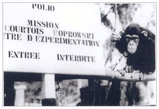 File:CampLindi.jpg