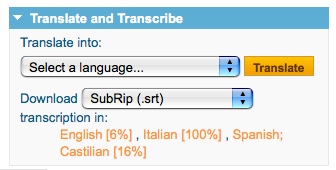 DotSUB language.jpg