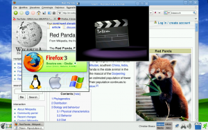 LinuxDay E1 1 3.png